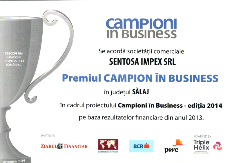 Business Champion Salaj 2013